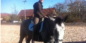 Trust-your-Horse Anreite-Coaching - Die Grammatik des Reitens